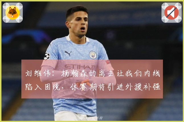 刘维伟：杨瀚森的离去让我们内线陷入困境，休赛期将引进外援补强